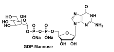 Guanosine 5-diphospho-a-D-mannose disodium salt GDP-D-甘露糖
