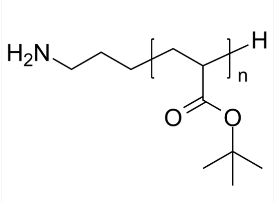 PtBuA-NH2