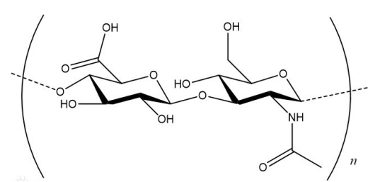 岩藻多糖-透明质酸
