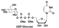 尿苷5'-(三氢二磷酸酯)P'-BETA-D-吡喃葡萄糖基酯钠盐，UDP-ALPHA-D-GLUCOSE, DISODIUM SALT