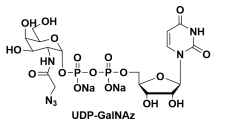 尿苷5'-二磷酸-N-乙酰叠氮氨基半乳糖胺二钠盐，UDP-GalNAz，UDP-GalNAz.2Na，CAS#: 653600-61-4