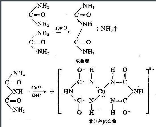 香菇多糖-聚乙二醇-卵清蛋白