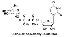 双磷酸尿苷-6-叠氮-6-脱氧-D-葡糖酯，Uridine 5’-diphospho-6-azido-6-deoxy-D-glucose disodium salt