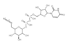 葡萄糖核苷酸，UDP-6-azido-6-deoxy-D-glucose disodium salt/galactose