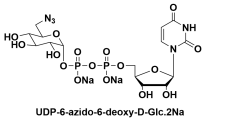 UDP-6-叠氮-6-脱氧-D-葡萄糖二钠盐，UDP-6-azido-6-deoxy-D-Glc.2Na/glucose