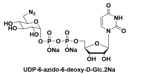 尿苷5'-(三氢二磷酸酯) P'-(6-叠氮基-6-脱氧-ALPHA-D-吡喃葡萄糖基)酯，UDP-6-N3-Glucose