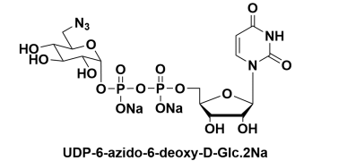CAS:868141-12-2，UDP-6-N3-Galactose，UDP-6-叠氮-6-脱氧-D-半乳糖二钠盐 