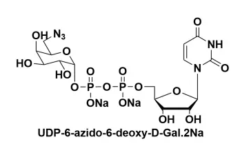 UDP-6-叠氮-6-脱氧-D-半乳糖二钠盐，UDP-6-azido-6-deoxy-D-Galactose disodium salt