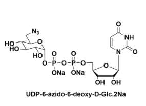 UDP-6-N3-GlcNAc，UDP-N-叠氮修饰乙酰基葡萄糖胺，叠氮修饰尿苷二磷酸-N-乙酰基葡萄糖胺