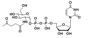 UDP-2-carbonyl-GlcNAc，羧基修饰尿苷二磷酸，羧基标记核苷酸糖