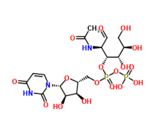 UDP-GALNAC，叠氮修饰N-乙酰半乳糖胺，7277-98-7