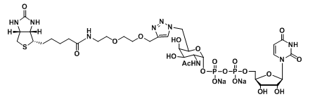UDP-6-Biotinyl-GalNAc，生物素偶联N-乙酰半乳糖胺