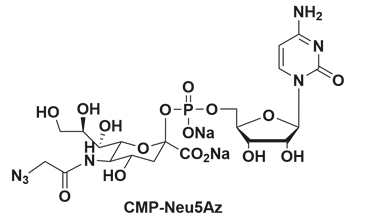 核苷酸尿苷二磷酸衍生物，CMP-Neu5Az，CMP-Neu5Ac，CAS:3063-71-6