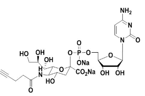 5'-单磷酸胞苷修饰叠氮糖，CMP-C9-Azido-Sialic Acid