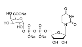UDP-A-D-半乳糖醛酸三钠盐，Uridine 5'-diphospho-galuronic acid trisodium，UDP-GalA
