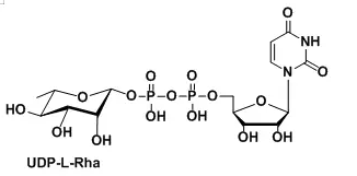 UDP-鼠李糖，UDP-beta-L-rhamnose，UDP-β-L-rhamnose，cas:1955-26-6
