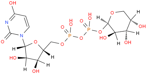 UDP-阿拉伯糖，UDP-b-L-arabinopyranose disodium salt，UDP-β-L-Ara.2Na