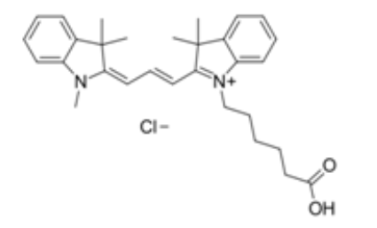 花菁染料CY3标记羧基