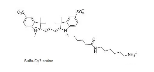 磺基-CY3 氨基