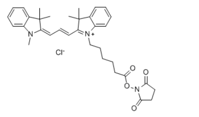 脂溶性Cyanine3 NHS 