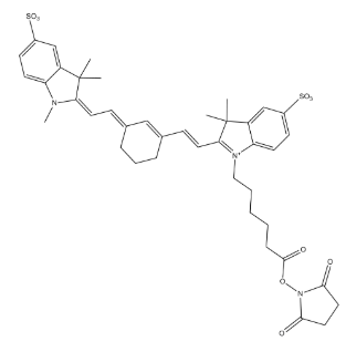 CY7-NHS ester