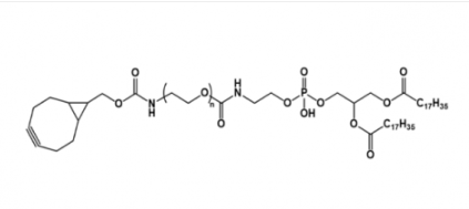 BCN-PEG-DSPE   