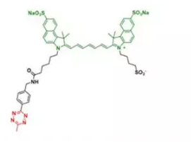 diSulfo-ICG Me-tetrazine    