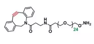 DBCO-PEG24-O-NH2