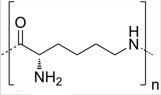 甲氨蝶呤-聚赖氨酸