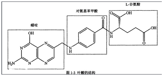 阿霉素-叶酸