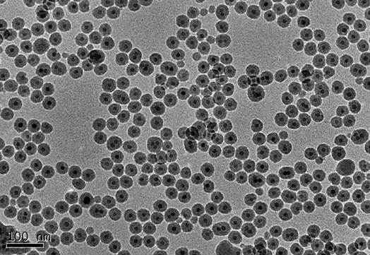 油酸修饰的四氧化三铁磁性纳米颗粒（高温热解法） Ferromagnetic nanoparticles