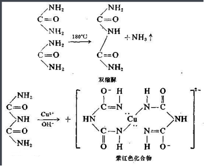 卵清蛋白-PEG-喜树碱