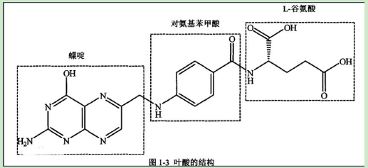 甲硝唑-聚乙二醇-叶酸