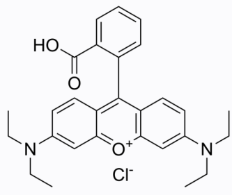 甲硝唑-聚乙二醇-罗丹明B 