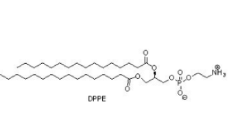 DPPE-PEG-Metronidazole