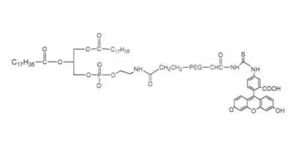DSPE-PEG-FITC.MW:1000，磷脂-聚乙二醇-荧光素，FITC-PEG-DSPE，外观取决于分子量