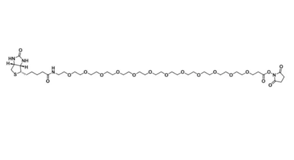 Biotin-PEG12-NHS ester，生物素-聚乙二醇-活化酯，365441-71-0