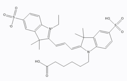 Azithromycin-PEG-Cyanine3