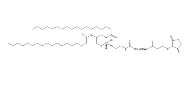 DSPE-PEG2000-NHS，DSPE-PEG(2000) succimide，二硬脂酰磷脂酰乙酰胺-N-羟基丁二酰亚胺-聚乙二醇2000