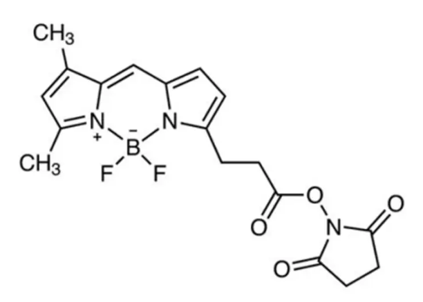 146616-66-2，BDP FL NHS ester，BDP FL NHS荧光素的替代品，一种用于488 nm通道的**染料