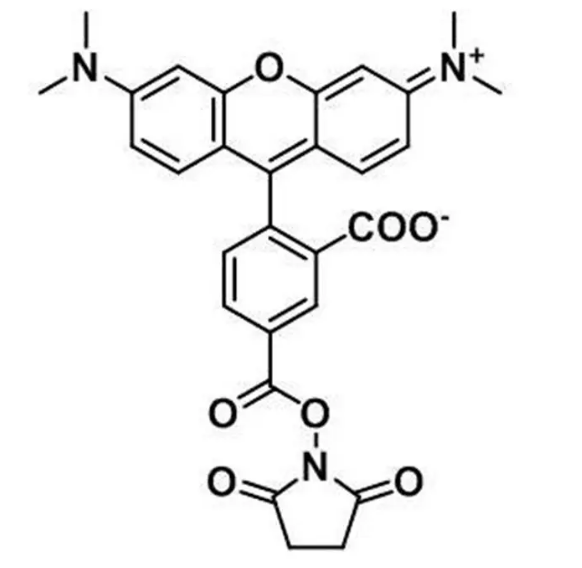 Biotion-PEG-Mal