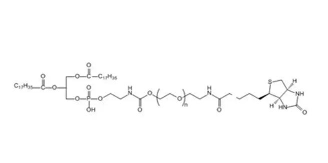 385437-57-0，Biotin-PEG-DSPE，生物素聚乙二醇磷脂，DSPE-PEG-BIO，功能性磷脂PEG衍生物