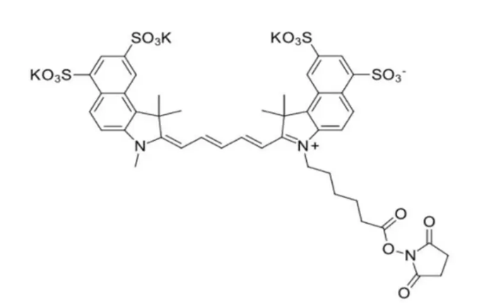 Sulfo-Cyanine5.5 NHS ester，Sulfo-Cy5.5 NHS酯，水溶性荧光染料，蓝色至深蓝色固体