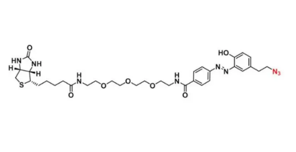 CAS: 1339202-33-3，Diazo Biotin-PEG3-azide/N3，重氮生物素-叠氮化物的描述