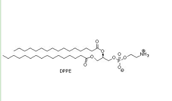 金刚烷-聚乙二醇-二棕榈酰基磷脂酰乙醇胺 