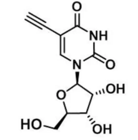 cas:69075-42-9，5-Ethynyl uridine，5-乙炔基尿苷，分子式以及分子量简介