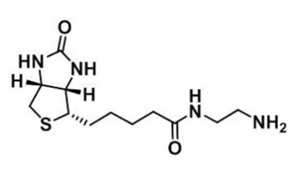 111790-37-5，Biotin-NH2，生物素-氨基，N-(2-氨基乙基)生物素胺，可使抗体、蛋白质，含羧基的生物分子简单生物素化