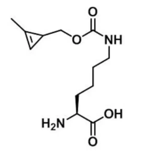 cas:1610703-09-7，N-cyclopropene-L-Lysine，点击化学氨基酸