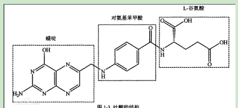 磺胺地索辛-聚乙二醇-叶酸 