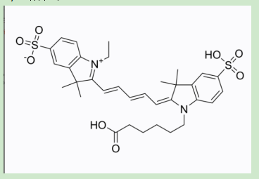 茴香酰胺-聚乙二醇-CY5 